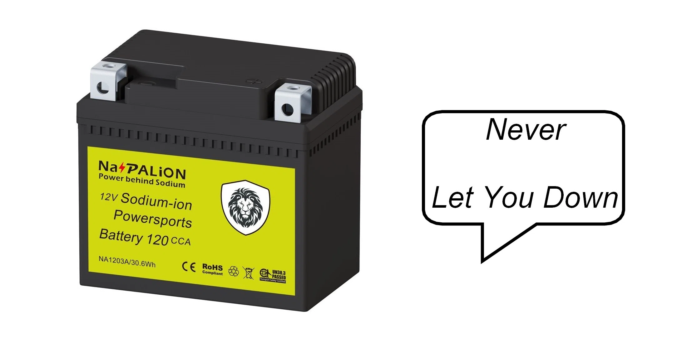 Sodium-ion powersports battery 120CCA NA1203A.webp